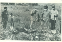 Arnaldo dos Reis Araujo (tengah) saat penggalian kuburan para korban yang jenazahnya dibakar sebelum dikuburkan (Sumber gambar : Arsip Pemerintahan Sementara Timor Timur)