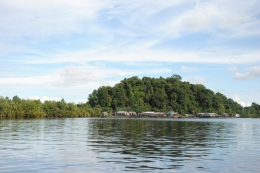 Hutan dan sungai Kapuas (foto: Kamaruddin Azis)