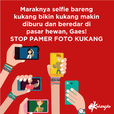 Stop berfoto selfie bareng binatang dilindungi. Foto dok. Kukangku.
