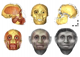 Rekonstruksi wajah manusia kerdil Flores yang pertama kali ditemulan 12 tahun yang lalu. Sumber: www.sciencealert.com; Dr. Susan Hayes Univ. Wollongong