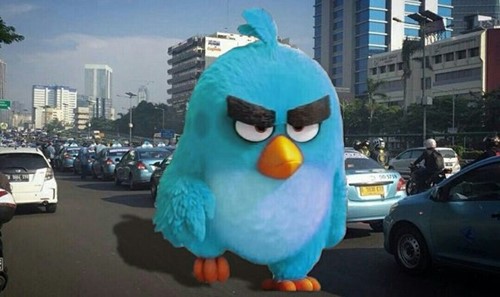 Meme Angry Blue Bird (Path.com/@enongolagi)