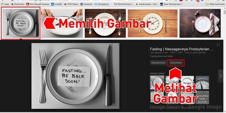 Tampilan laman Google Image
