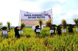 Panen Perdana Padi Metode Hazton di Desa Pegalongan Patikraja, (2015). Dok.UK3. KPw BI Purwokerto