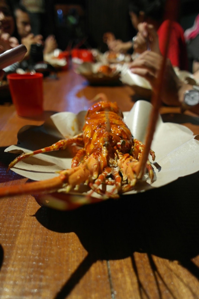 lobster jumbo/ aqied