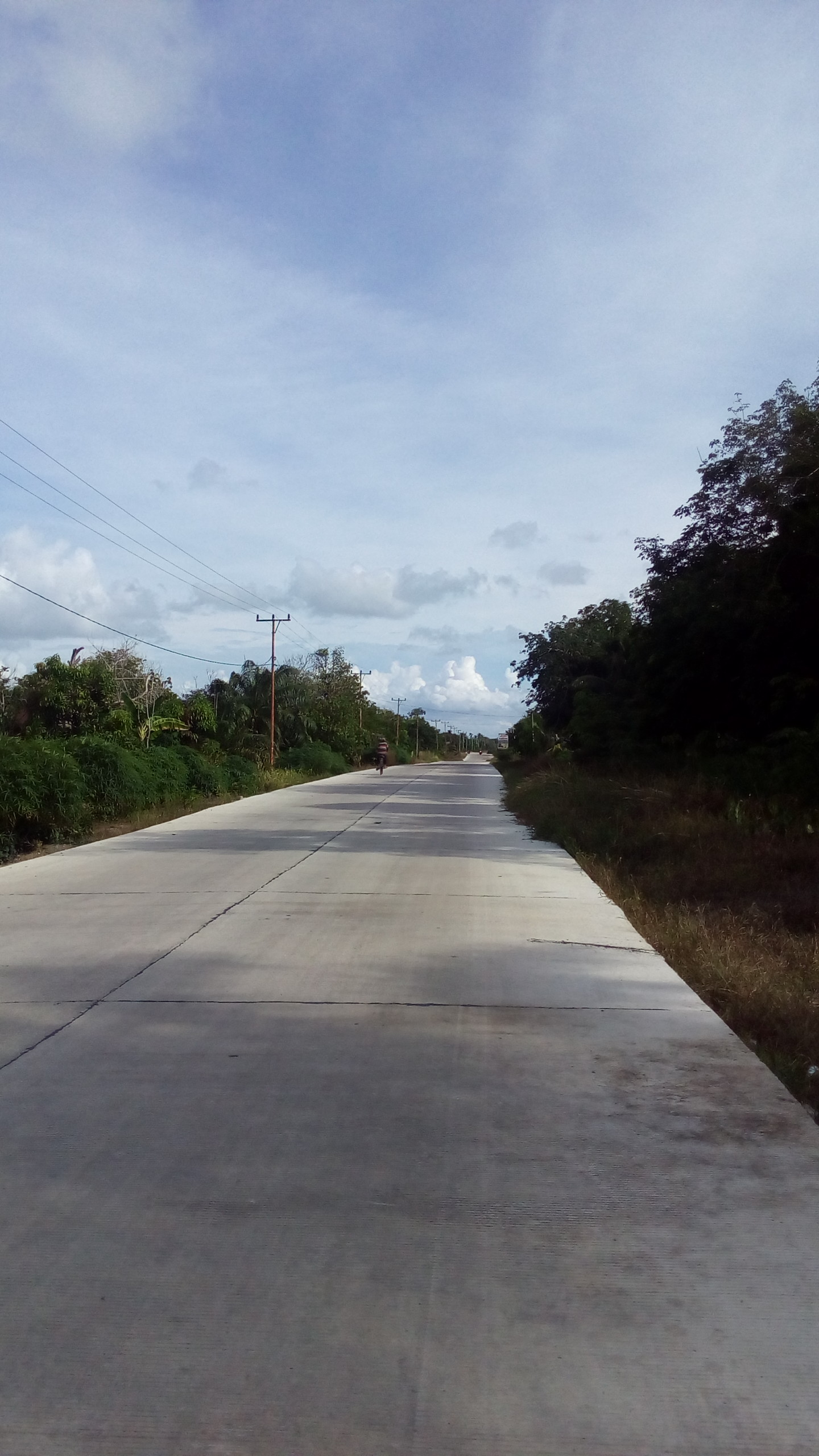 Jalan utama di Pulau Rupat (dokpri)