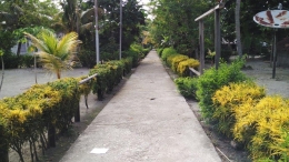 Jalan di kampung Masyai (dok.pribadi)