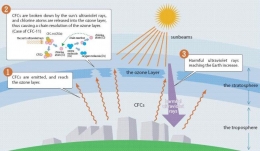 Pengaruh chlorofluorocarbons (CFC) terhadap lapisan ozon. Sumber: www.greenspec.co.uk/
