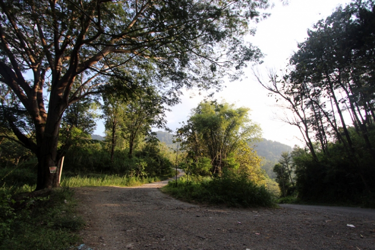 Jalan sebelah kiri menuju Randubang. (Ganendra)