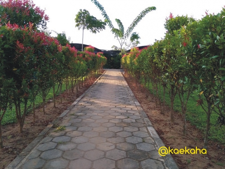Kebun Raya Banua Angin Segar Baru untuk Pelestarian Flora Kebun Raya Banua Angin Segar Baru untuk Pelestarian Flora