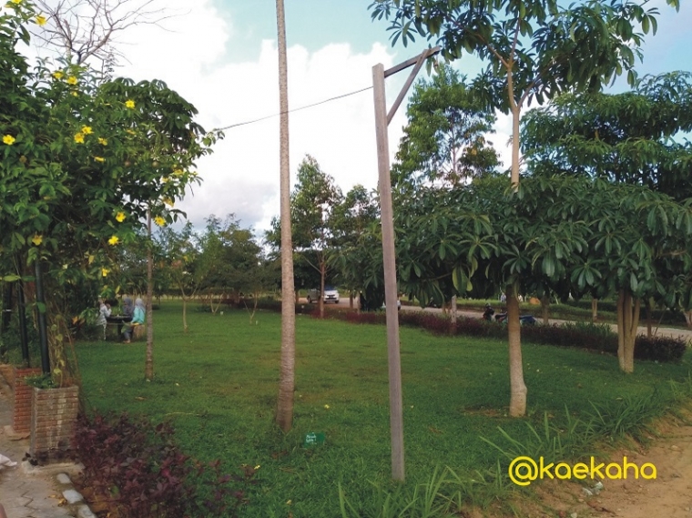 Kebun Raya Banua Angin  Segar Baru untuk  Pelestarian Flora  Kebun Raya Banua Angin  Segar Baru untuk  Pelestarian Flora