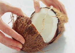 santan kelapa | Sumber: vimed.pl
