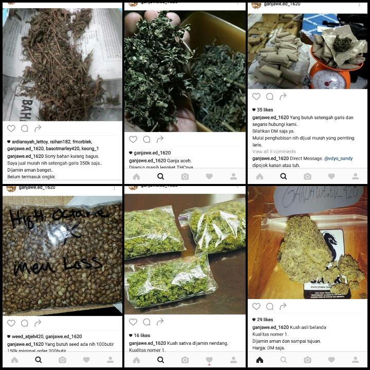 Gambar 3. Berbagai jenis ganja yang dijual