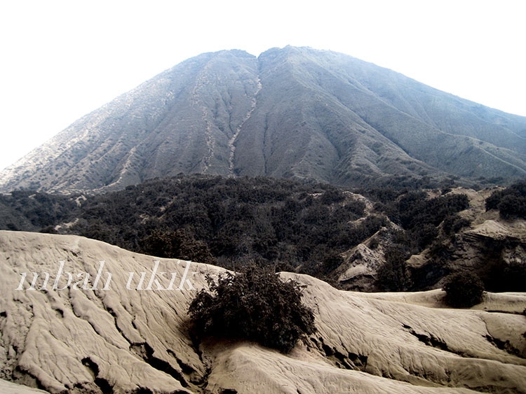 Sumber Gambar: Dokumen Pribadi
