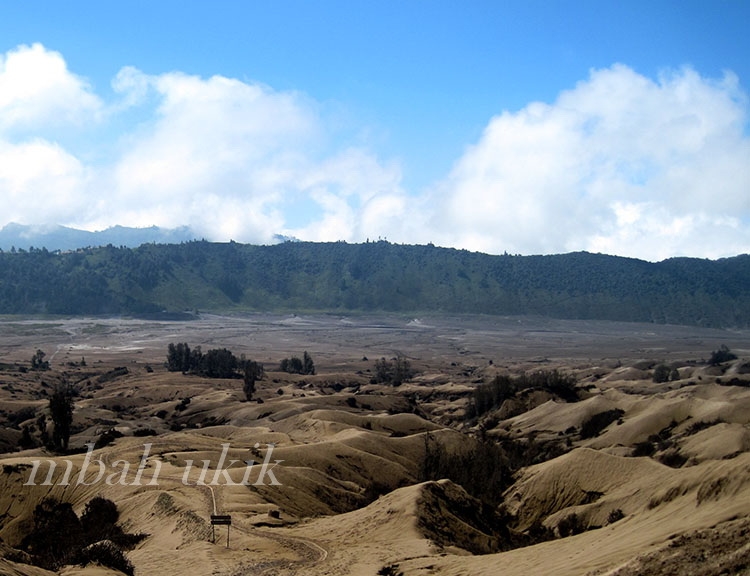 Sumber Gambar: Dokumen Pribadi