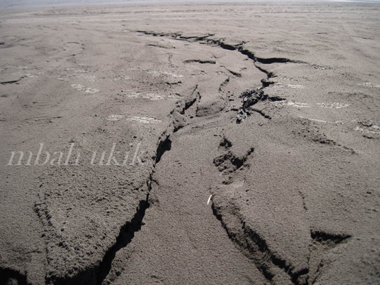 Sumber Gambar: Dokumen Pribadi