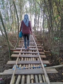 jembatan bambu, akses jalan menyusuri hutan bakau/dokpri