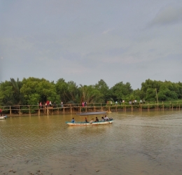 perahu wisata untuk menyusuri sepanjang hutan mangrove