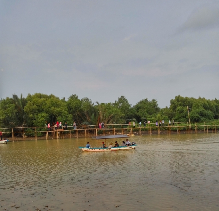 perahu wisata untuk menyusuri sepanjang hutan mangrove