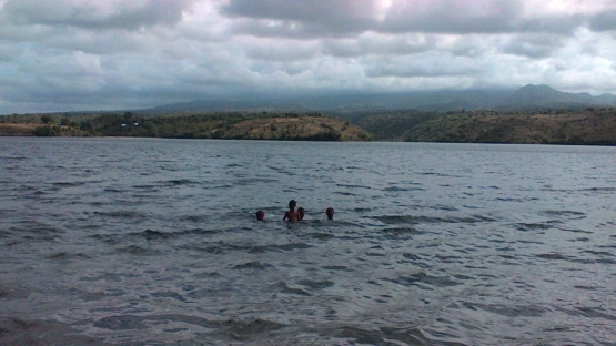 photo-org2-578c971b07b0bd6706943ad9.jpg