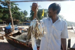 (Salah satu nelayan di Pantai Sawarna dengan hasil tangkapannya yang jika diuangkan hanya sebesar 50 ribu rupiah) (Dok. Faisal Effendi)