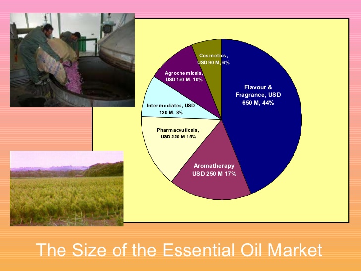 essential-oils-presentation-35-728-578f9b6d90fdfd8d1c9cd183.jpg