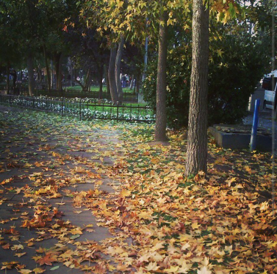 autumn in my heart
