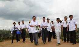 Tinjauan lapangan Tim Prabumulih di PT. GGP Lampung Tengah. Foto Dokpri