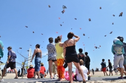 Sanur International Kite Festival, sirkuit lomba layang-layang dunia di SVF