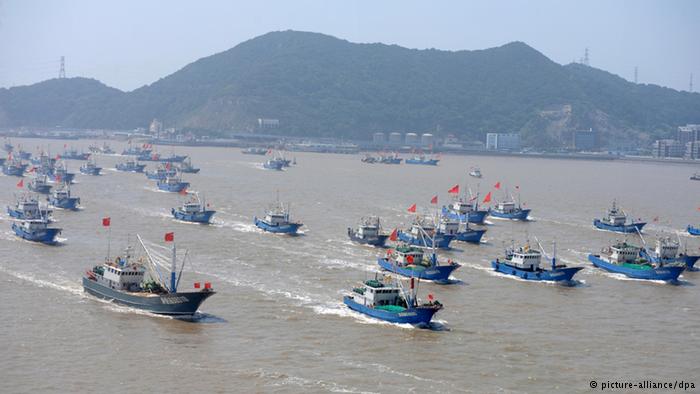 Kapal-kapal nelayan Tiongkok (Repro: dw.com)