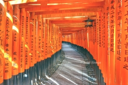 thousand of torii gate at Fushimi Inari-taisha (dok. pribadi)
