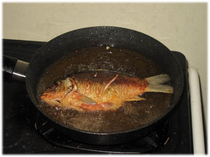 Ikan Mas Organik Segar dan Beku Cita Rasa Ikan Kerapu Ikan Mas Organik Segar dan Beku Cita Rasa Ikan Kerapu