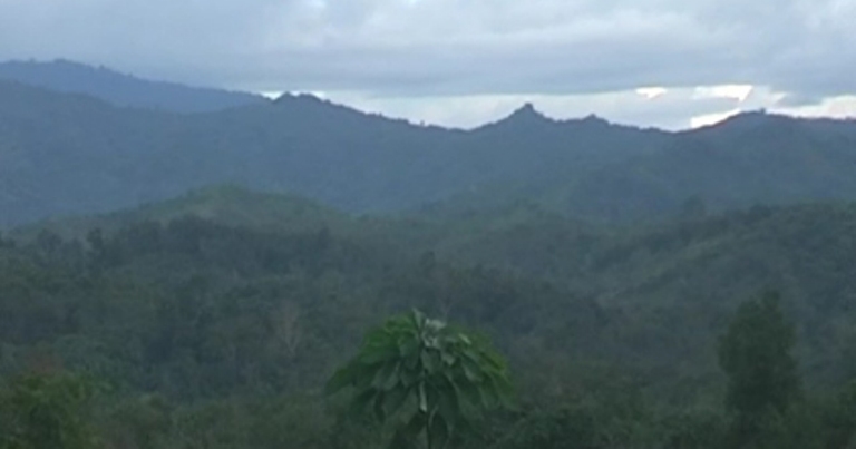 Pegunungan Meratus HST, Lokasi Tanam Padi Buyung (Sumber : Doc. Pribadi)