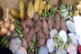 Beberapa hasil pertanian yang digelar dalam Festival Budaya Pertanian (FBP) (Sumber: kabarin.co)