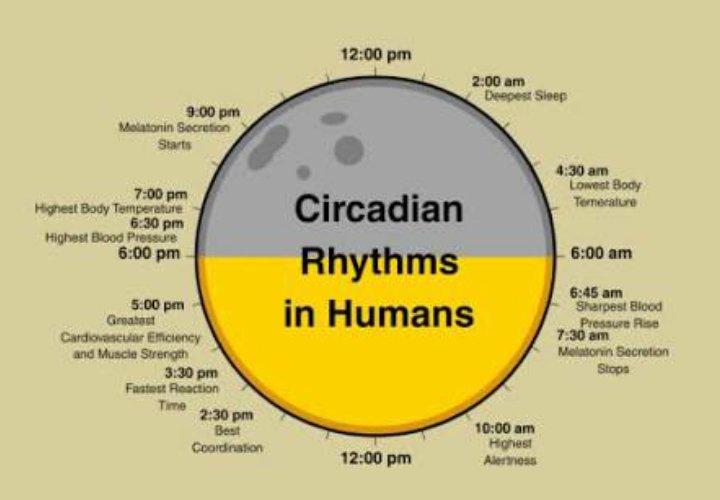 JAM BIOLOGIS atau Ritme Sirkadian pada manusia. Sumber gambar http://www.endthistrend.com/how-to-maximize-your-bodys-circadian-rhythm/