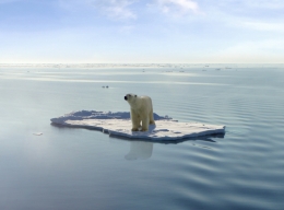Pencairan es di kutub akibat pemanasan global, menimbulkan efek berantai (foto: futuretimeline.net)