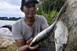 Abdul Haris, Ketua Kelompok Bonto Perak 1 menunjukkan ikan bandeng hasil tambaknya (Foto: Wahyu Chandra)