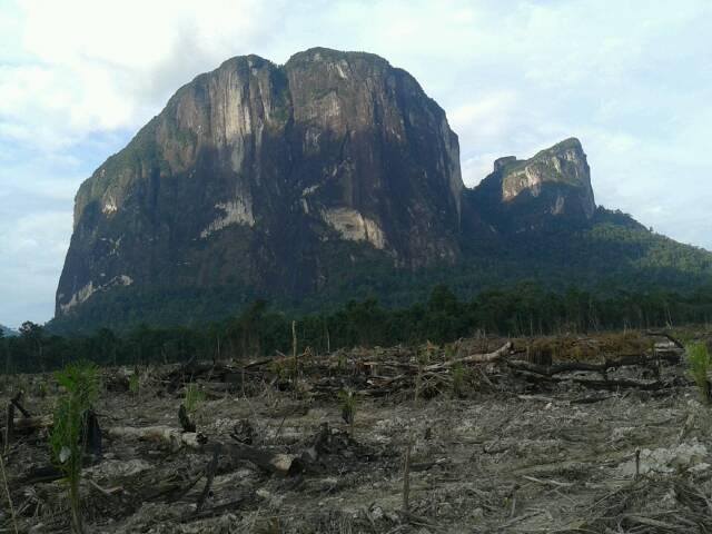 Bukit Batu Daya Yang Indah Itu Kini Kian Terhimpit Kompasiana Com