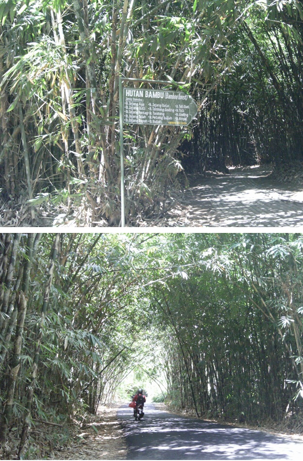 Tidak Tega Membuang Sampah Sembarangan di Desa Wisata Tidak Tega Membuang Sampah Sembarangan di Desa Wisata
