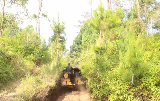 Jalan menyempit dan pepohonan serta semak yang lebat. (Foto: Gapey Sandy)