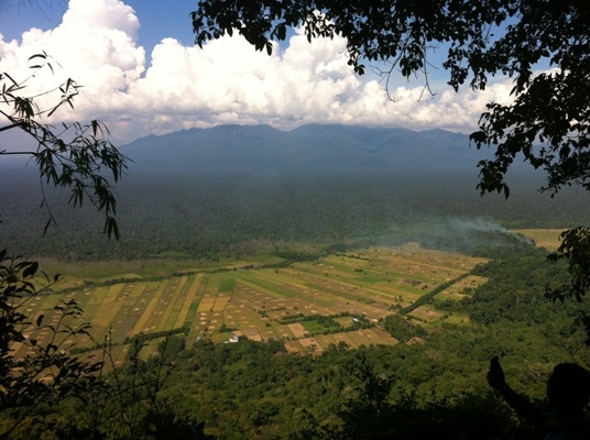 Berjumpa dengan Reftil Belajar Menuruni Air Terjun hingga Berjumpa dengan Reftil Belajar Menuruni Air Terjun hingga