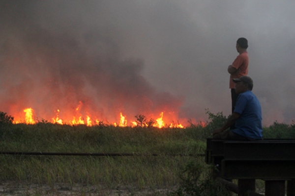 Titik api pemicu kebakaran hutan dan lahan Sumber Foto: ilustrasi http://industri.bisnis.com/