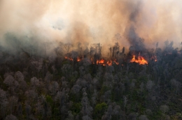 Kebakaran hutan Riau. Sumber: klasemen.co