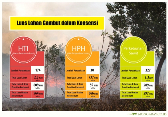 Luasan lahan gambut yang terbakar di area konsesi. Foto via mongabay.co.id, sumber BRG