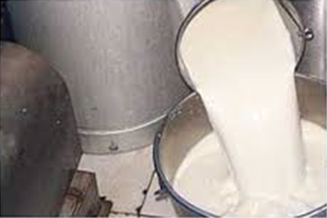 Wujud susu segar hasil peternakan sapi perah Nongkojajar, sumber: kpsp-setiakawan.com