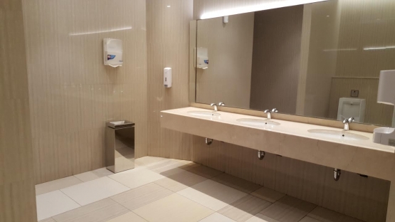 toilet-7-57cec7aa6723bdda70875120.jpg