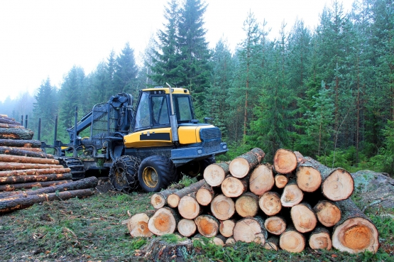 Source: www.forestindustries.fi
