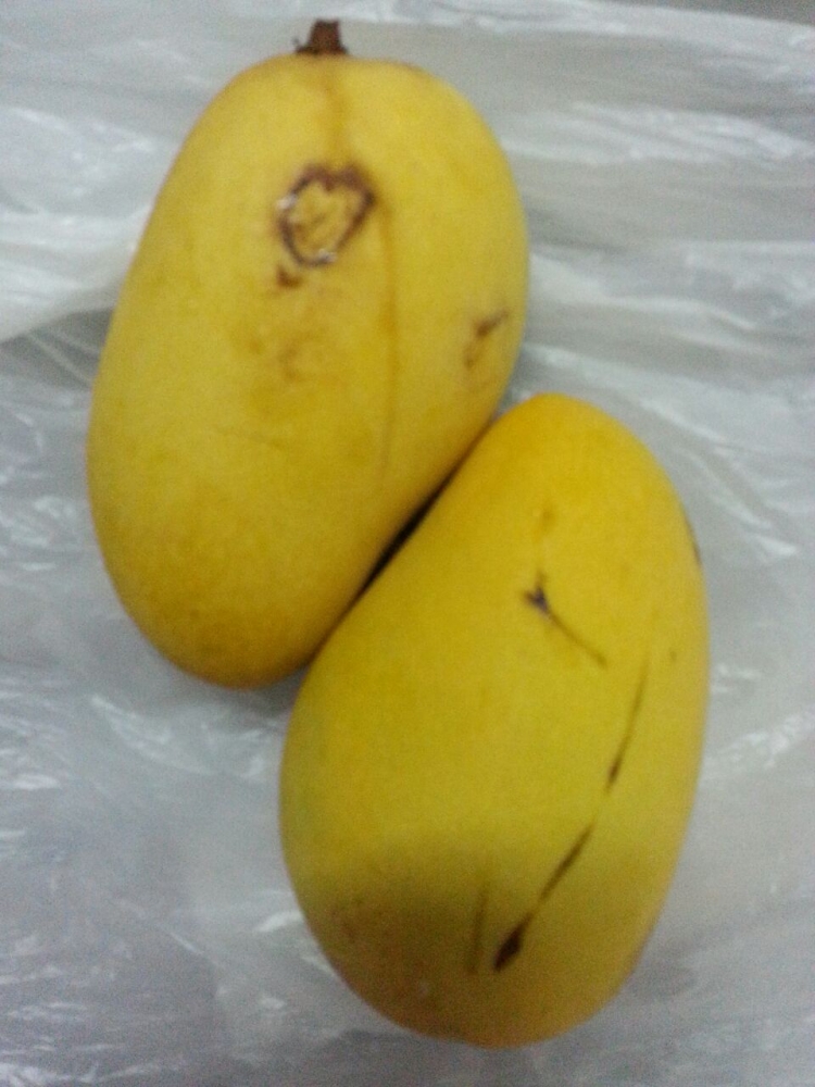 buah yang matang