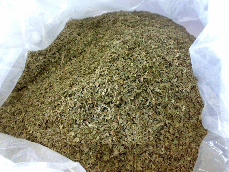 Daun Ketum atau keratom yang telah dieksrak. Foto dok.superadaherbs.mywebhome.ca