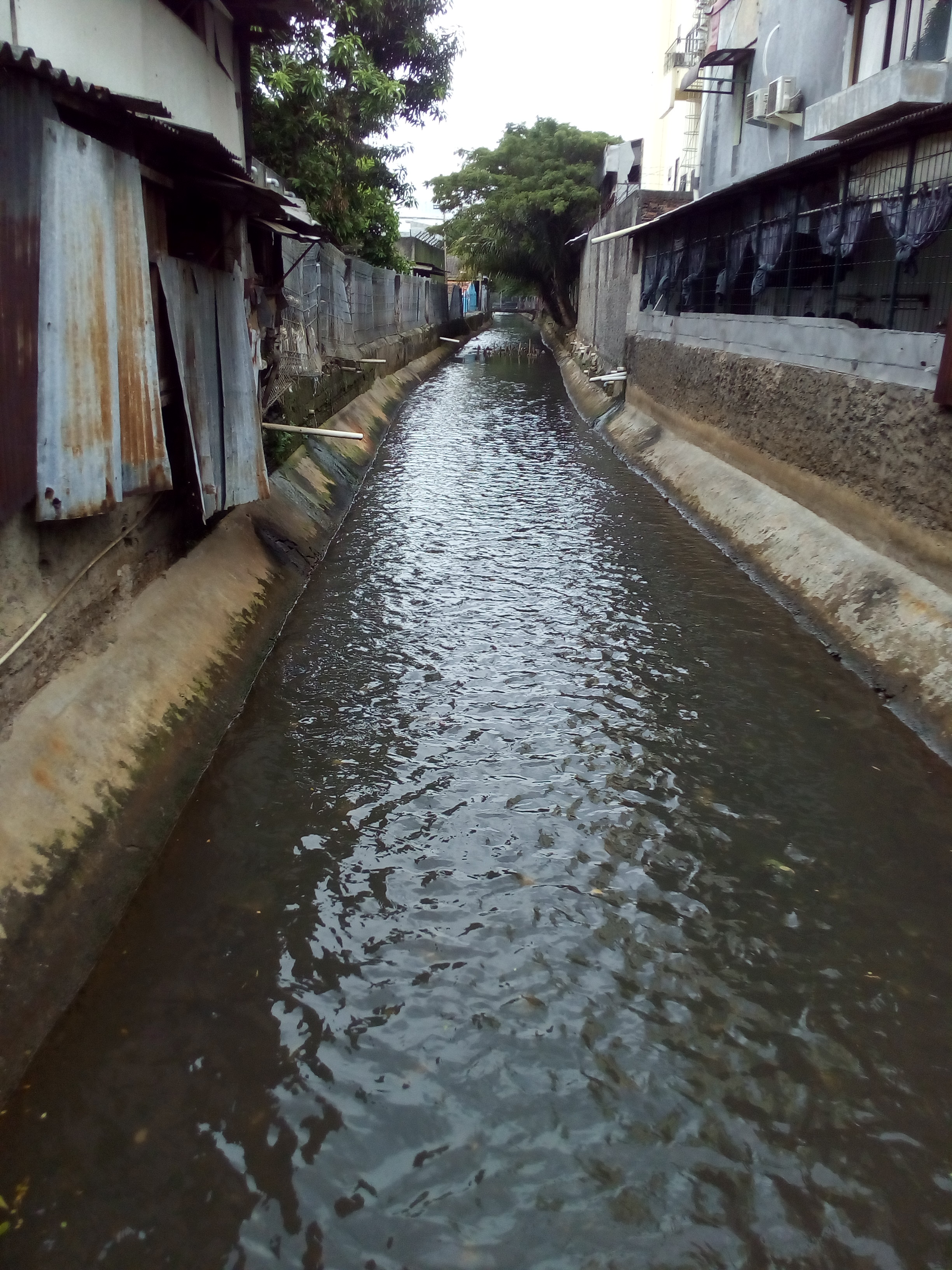 Sungai di Pasar Minggu, Jakarta Selatan, yang dulu terkenal kotor oleh sampah yang menumpuk dan bau busuk yang menyengat, kini airnya mengalir lancar, bersih dan bebas dari laler serta kotoran yang menumpuk, dan tak bau lagi (dokpri)