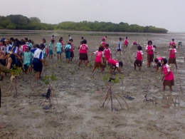 Anak-anak sekolah diajak melakukan penanaman mangrove. Sumber: Dokpri